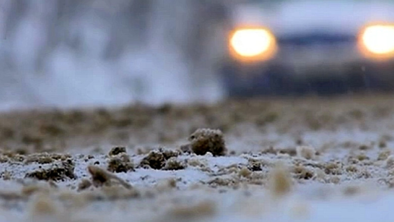 Val de frig si zapada in Europa: 17 oameni au murit in Polonia. In statiile din Varsovia au fost montate cuptoare alimentate cu carbuni Imagine