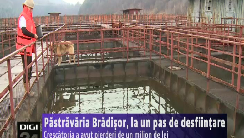 VALCEA. Pastravaria Bradisor, la un pas de desfiintare. Crescatoria a avut pierderi de un milion de lei Imagine