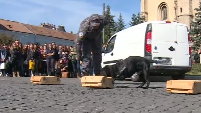 Vanatoare de droguri in centrul Clujului Imagine