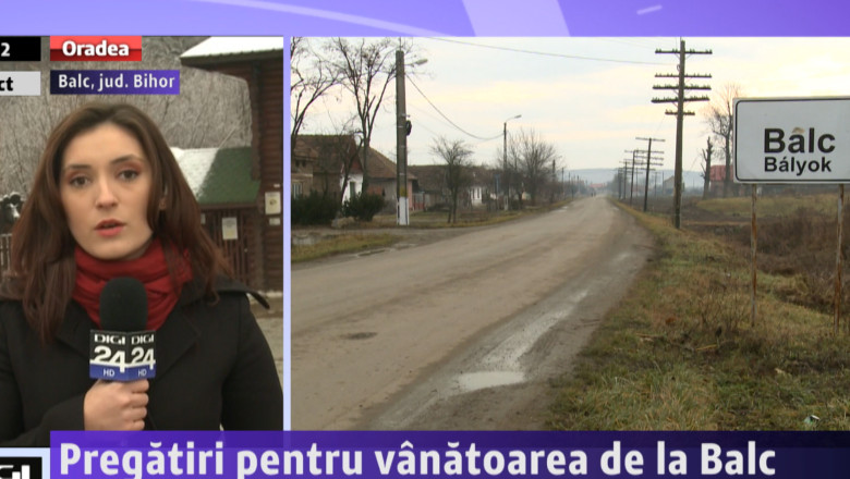 Vanatoarea milionarilor. Pregatiri pe domeniul de la Balc Imagine