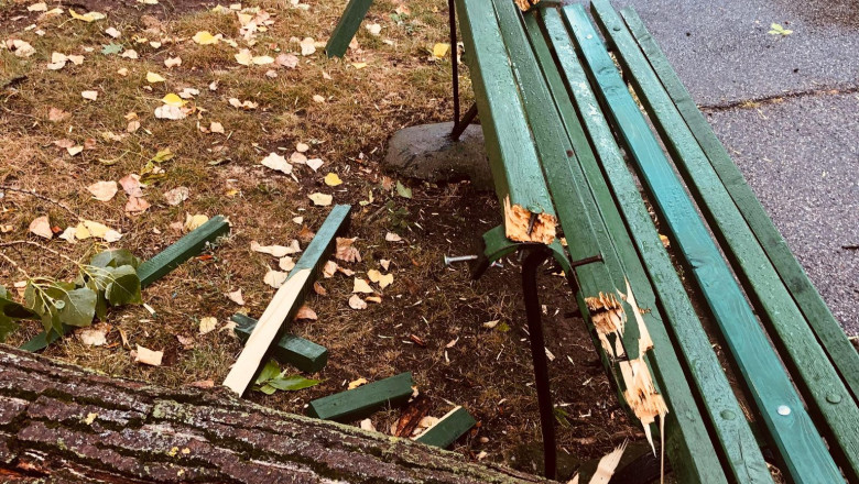 Vantul puternic a doborat 82 de copaci in Bucresti. 69 de autoturisme au fost avariate Imagine