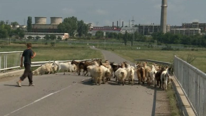 Varianta ocolitoare, blocata din cauza finantarii Imagine