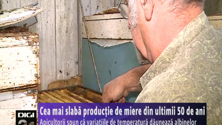 Variatiile de temperatura dauneza productiei de miere Imagine