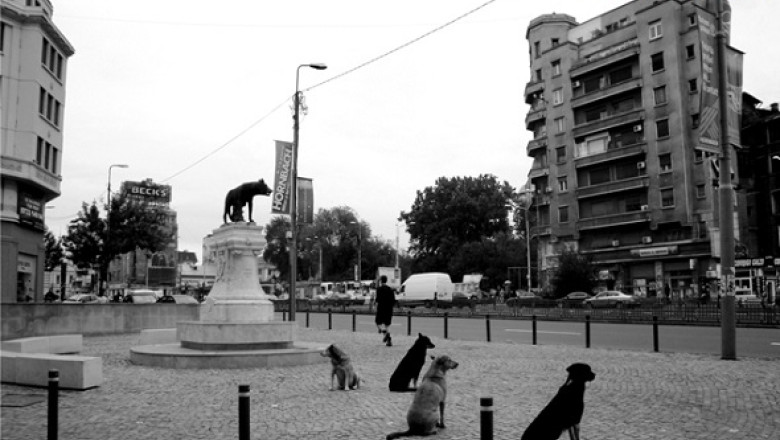 Vernisaj pe acorduri de vioara. 100 de fotografii ale Bucurestiului, expuse in Oradea Imagine