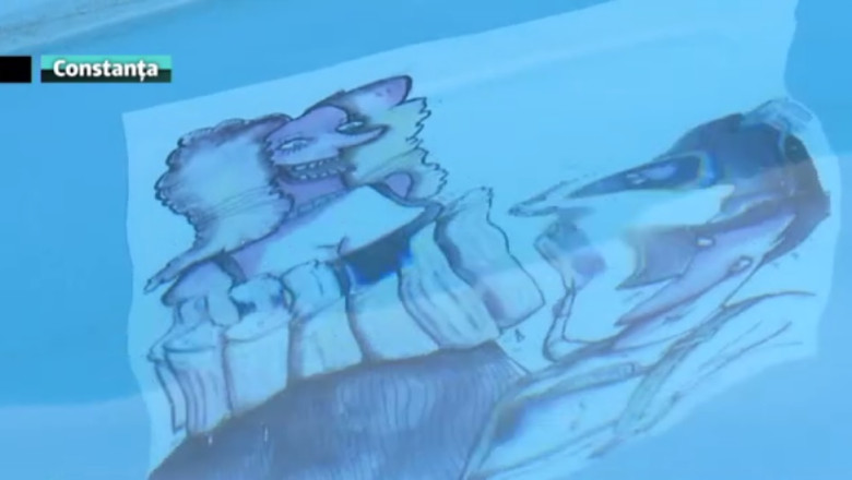 Vernisaj subacvatic. Peste 40 de lucrari sunt expuse sub apa, in parcul de distractii din Mamaia Imagine