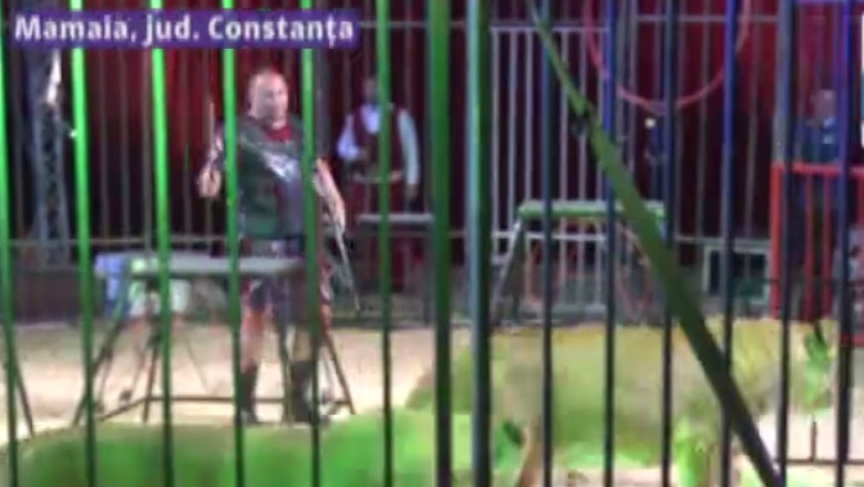 Viata de circar: pasiune dincolo de sacrificii Imagine