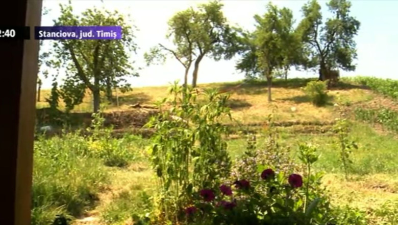 Viata departe de tehnologie Imagine