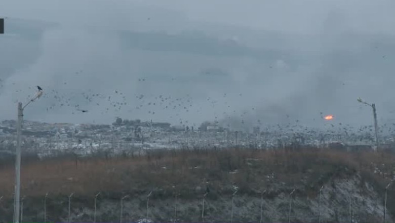 Viata grea la groapa de gunoi Imagine