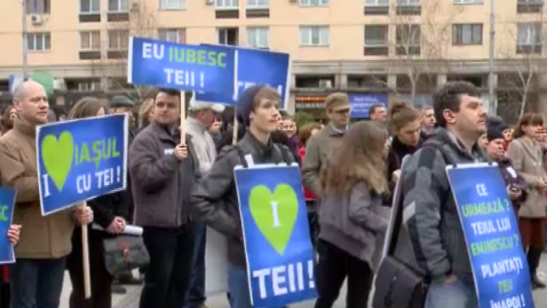 Viceprimarul Mihai Chirica, cercetat penal pentru taierea teilor  Imagine