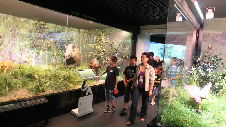 Victor Ponta, despre Muzeul Antipa: Nu se desfiinteaza, dar nu-l mai trecem la Ministerul Mediului Imagine