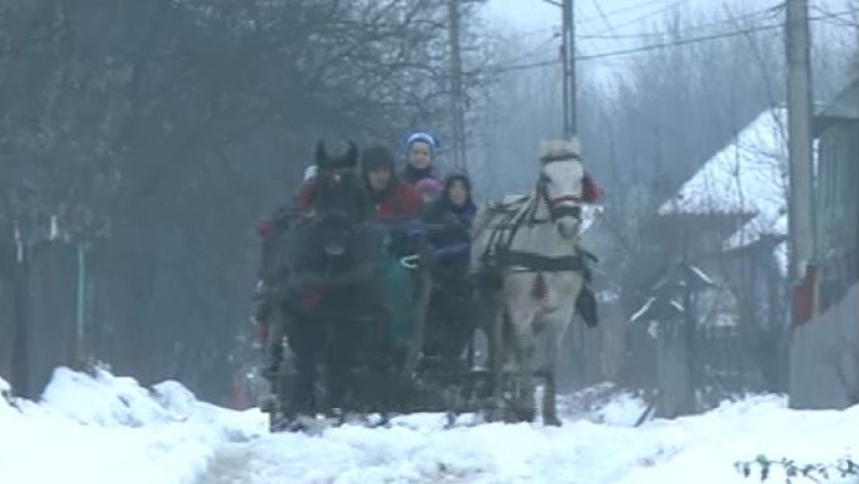 VIDEO. 15 elevi din satul dambovitean Iuda sunt dusi la scoala cu caruta Imagine