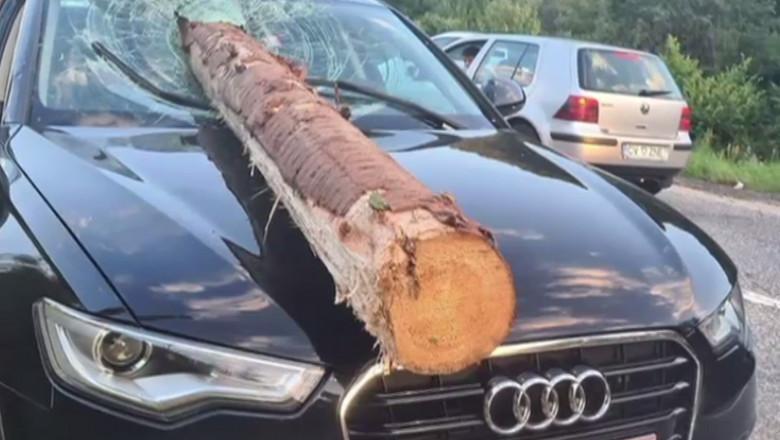 VIDEO. Accident horror in judetul Brasov: Un bustean a strapuns parbrizul unui autoturism Imagine