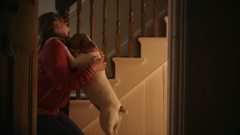 VIDEO. „Adopta un caine, te va iubi neconditionat!” - clipul devenit viral pe youtube Imagine