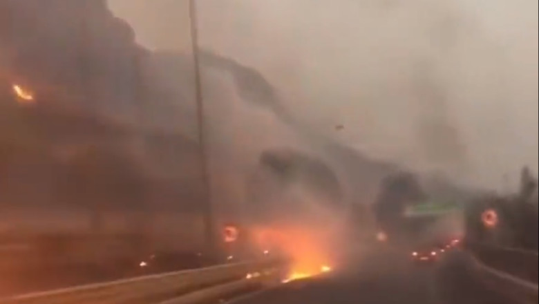 VIDEO. Autostrada cuprinsa de flacari, in Sicilia. Incendiile de vegetatie se raspandesc in sudul Italiei Imagine