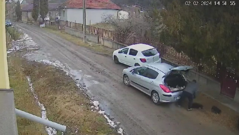 VIDEO Barbat filmat cand abandoneaza trei catelusi, intr-o comuna din Cluj. Politistii incearca sa-l gaseasca Imagine