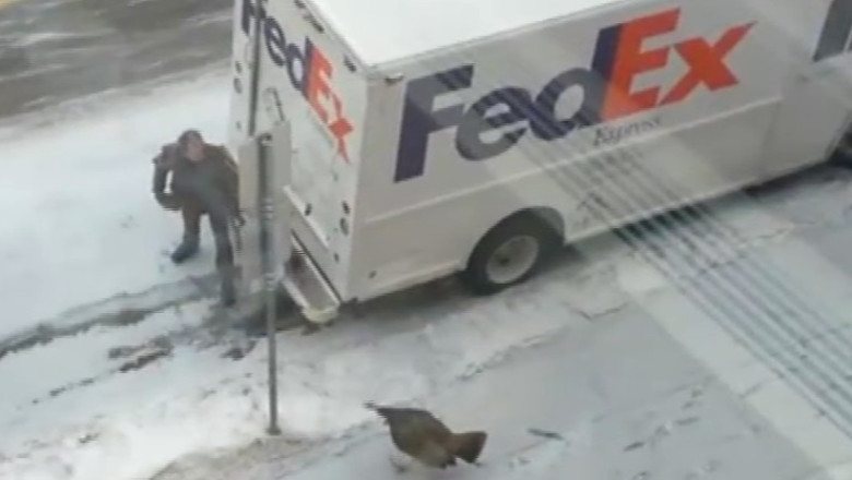 VIDEO. Barbat fugarit de curcan pe strada Imagine