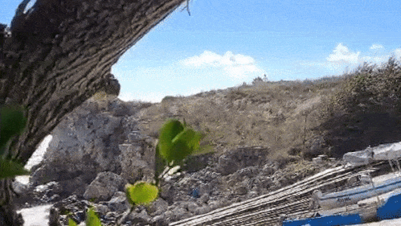 VIDEO. Bulgarii au detonat si distrus drona care a cazut pe litoralul lor, la 35 km de granita cu Romania Imagine