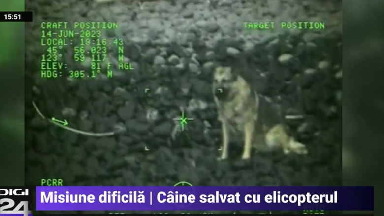 VIDEO Caine salvat cu elicopterul, dupa ce a cazut 90 de metri in gol de pe o stanca Imagine