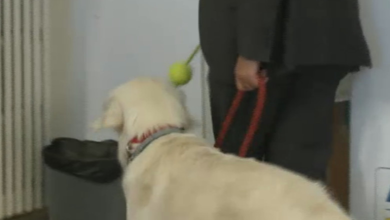 VIDEO. Cainele lui Ludovic Orban, la sedinta Aliantei Crestin-Liberale Imagine