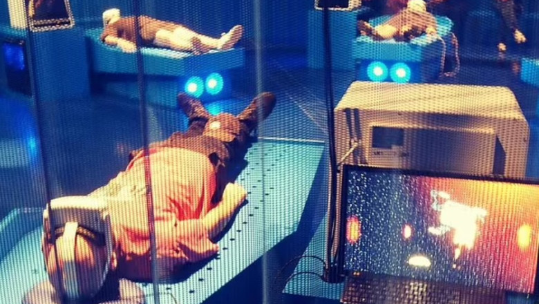 VIDEO Ce simti atunci cand mori? Un simulator te ajuta sa experimentezi momentul propriei morti Imagine