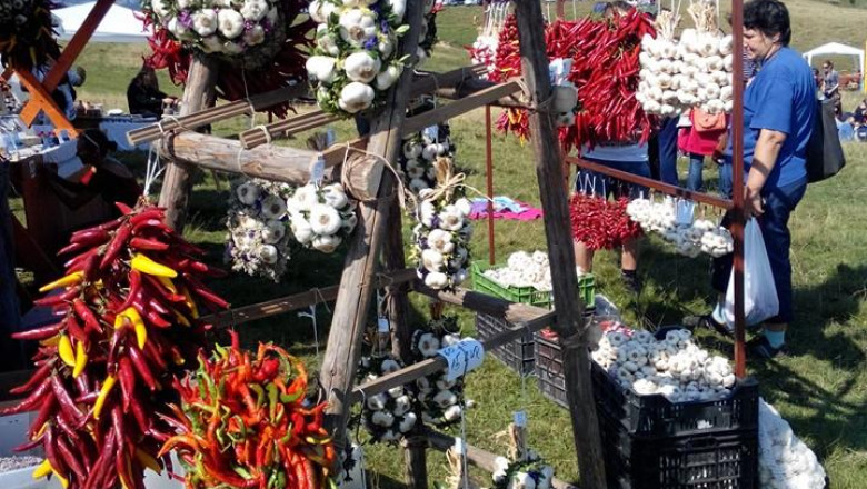 VIDEO. Cum s-au distrat turistii la Festivalul Usturoiului Imagine