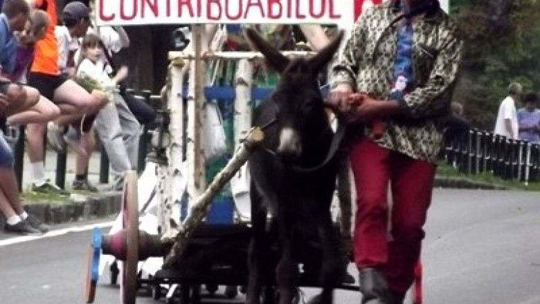 VIDEO. Cursa trasnitilor. Zeci de vehicule ciudate s-au intrecut in scopuri caritabile la Brasov Imagine