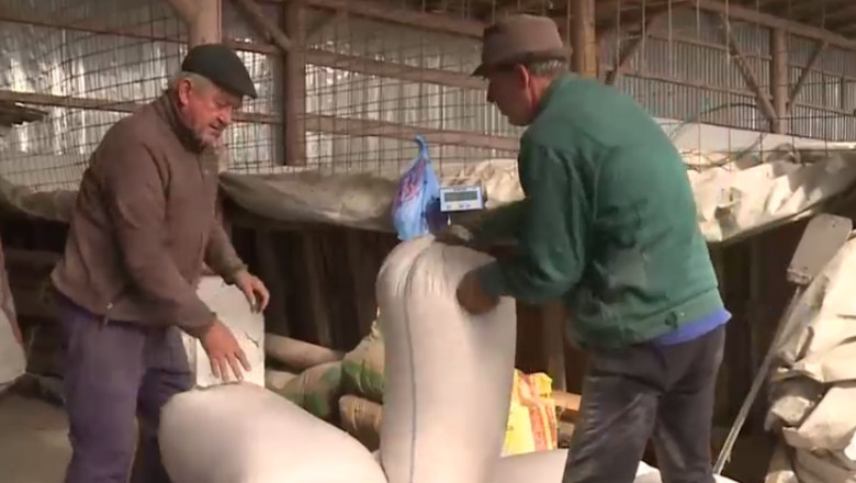 VIDEO. Doar fermierii cu scoala primesc subventii. „Sa platesc, ca m-or invata ei cand sa mulg vaca?”. „Nu fac, mai bine vand tot” Imagine