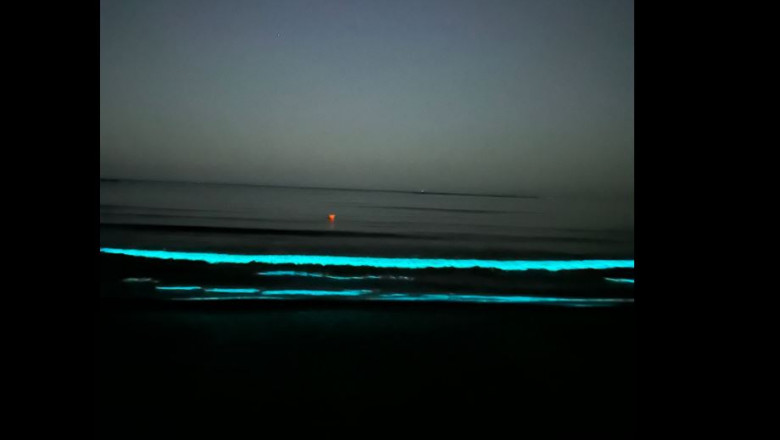 VIDEO Fenomen spectaculos pe litoral: Apa marii a devenit stralucitoare, datorita bioluminiscentei Imagine