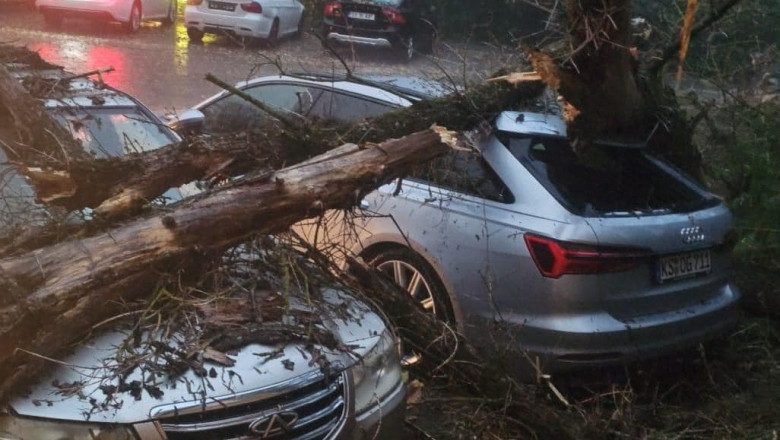 VIDEO Furtuna puternica in Iasi: copaci cazuti, strazi si pasaje inundate. Zeci de oameni au sunat la 112 Imagine