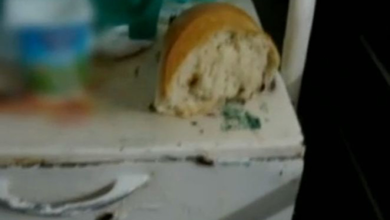 VIDEO. Gandaci in paine la Spitalul Judetean din Constanta. DSP a anuntat o ancheta Imagine