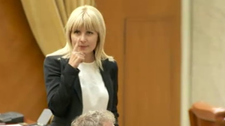 VIDEO. Gest ciudat facut de Elena Udrea la finalul discursului din Parlament Imagine