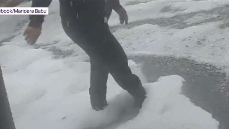 VIDEO Grindina si vijeliile au facut prapad in Arad si Gorj: Puhoaiele au inundat strazile, iar vantul puternic a smuls copacii Imagine