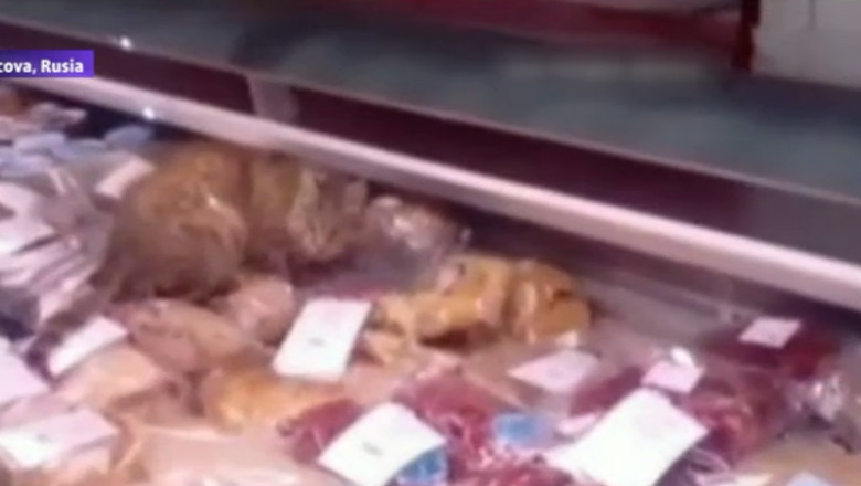 VIDEO. Hotul din magazinul de pescarie. O pisica a mancat delicatese de 1.000 de dolari Imagine