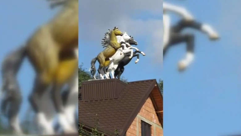 VIDEO. Imagini virale cu statuile a 3 cai in marime naturala pe acoperisul unei case. Localitatea in care poate fi admirata constructia Imagine