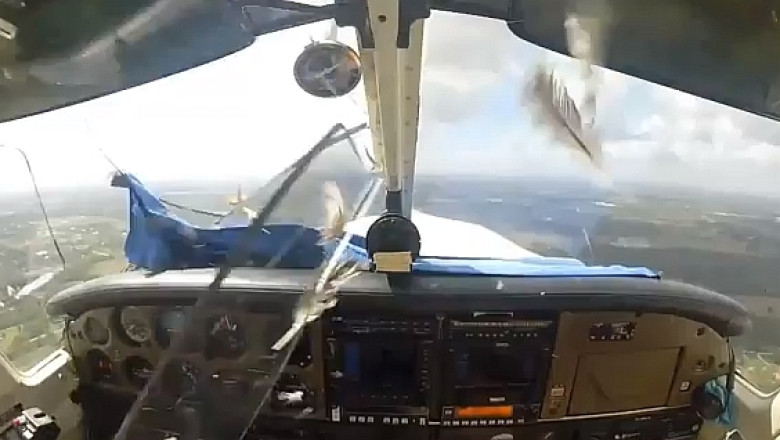 VIDEO Impact la inaltime: Un uliu sparge geamul unui avion in zbor Imagine