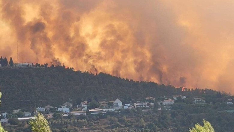 VIDEO. Incendii devastatoare in regiunea Ierusalimului. A fost mobilizata armata, Israelul a cerut ajutor international Imagine