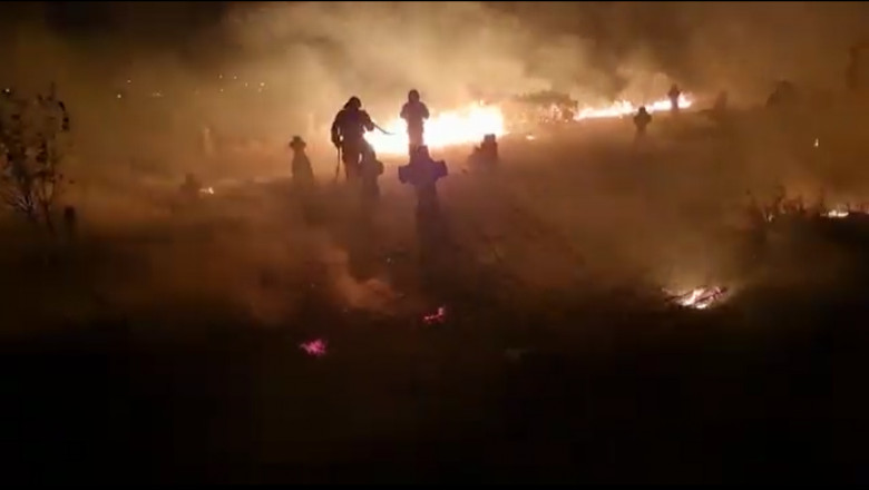 VIDEO Incendiu puternic in cimitirul din Slava Rusa, Tulcea. Flacarile au distrus o treime din morminte Imagine