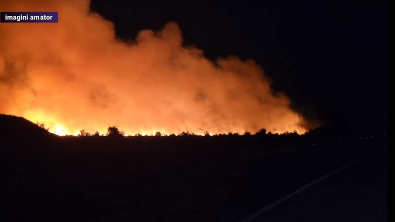 VIDEO Incendiu puternic in Constanta, langa Penitenciarul Poarta Alba. Un camp a luat foc Imagine