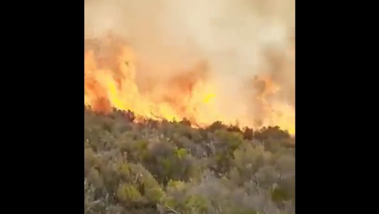 VIDEO Incendiu puternic in Kilimanjaro, de-a lungul uneia dintre cele mai populare rute de alpinism de pe munte Imagine