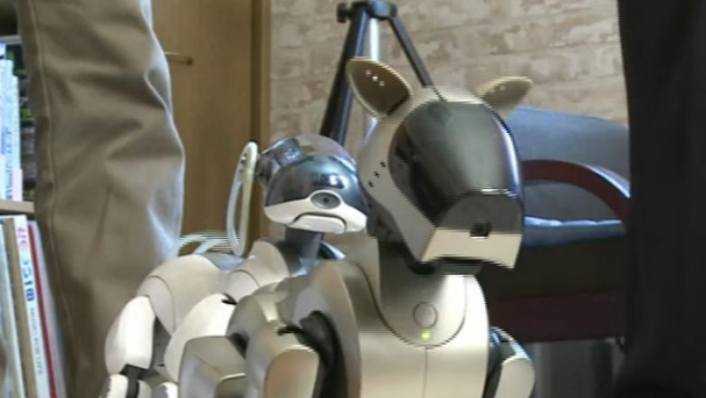 VIDEO. Inmormantare pentru roboti Imagine