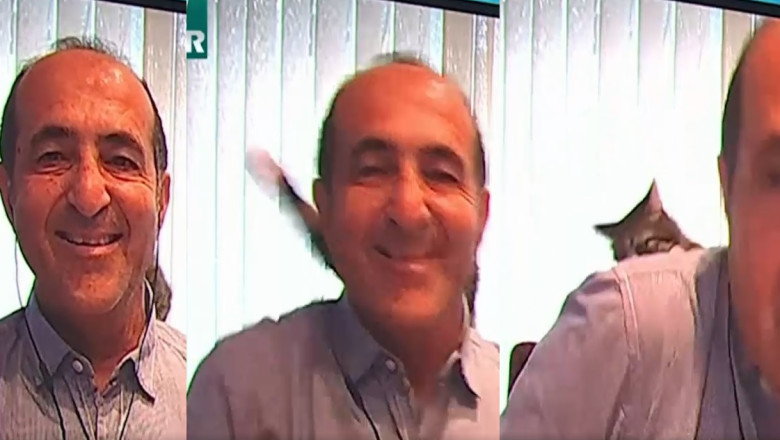 VIDEO. Jurnalist „pocnit” de pisica peste ceafa, in timpul unei interventii la televiziune Imagine
