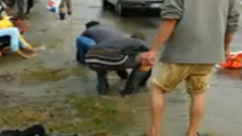 VIDEO. La pescuit, direct de pe sosea Imagine