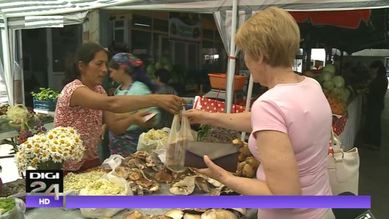 VIDEO Mai multe ciuperci otravitoare dupa ploile abundente. Cum le recunoastem Imagine