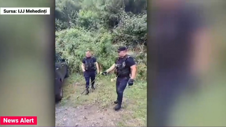 VIDEO Momente de panica la o pensiune din Mehedinti din cauza unei vipere cu corn Imagine