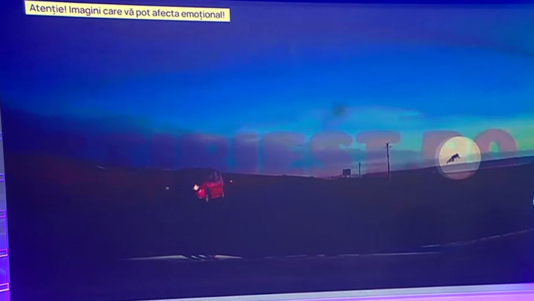 VIDEO Momentul in care un sofer din Vaslui este proiectat din masina, in urma unui accident. Tanarul de 18 ani a scapat cu rani minore Imagine