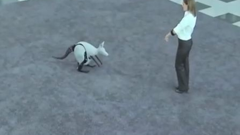 VIDEO. O echipa de ingineri germani a creat primul cangur bionic din lume Imagine