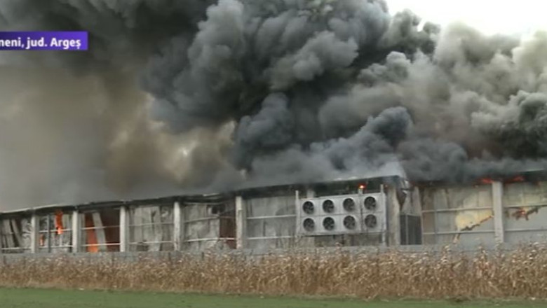 VIDEO. O fabrica de mezeluri din Arges s-a facut scrum Imagine