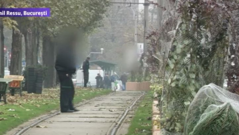 VIDEO. O firma de paza supravegheaza florile si arbustii decorativi, in sectorul 3 Imagine