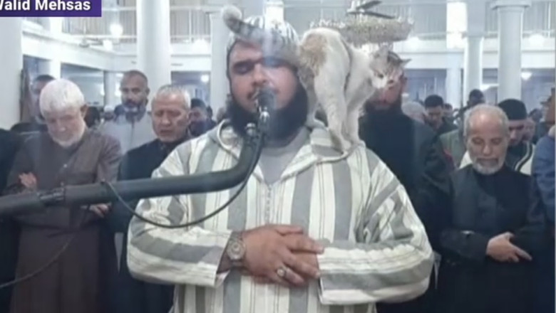 VIDEO O pisica s-a urcat pe un imam care a continuat sa recite rugaciunea in moschee Imagine