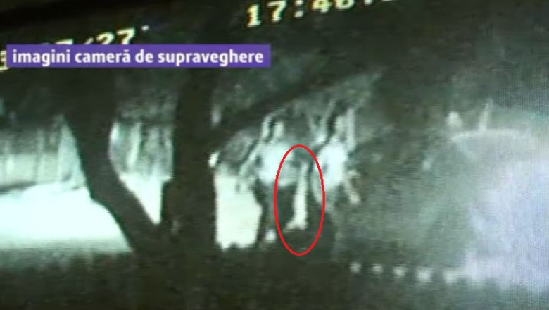 VIDEO. Patru politisti si un agent de paza din Constanta au abandonat o misiune ca sa prinda un iepure Imagine